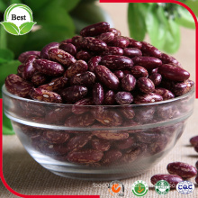 Low Price Red Speckled Kidney Bean with Competitive Price